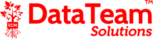 DataTeam Logo ws